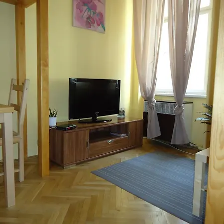 Apartment Mala Stepanska *